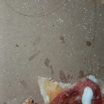 Domino's Şubesinde Hijyen İhlali: Pizza İçinde Saç Teli