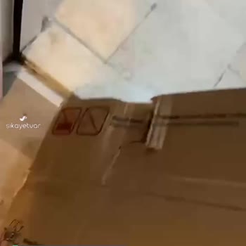 Vestel, Her Aşamada, Tam Bir Pişmanlıktır!