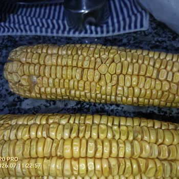 Koçanlı Mısır Ürününün Bozulması Ve Çözüm Bekleyen Müşteri Hizmetleri