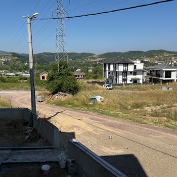Sokak Tabelası, Aydınlatma ve Asfalt Çalışması Talebi