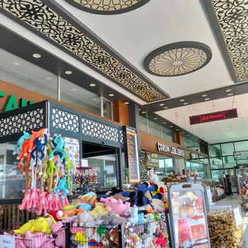Karadeniz Göl Otobüsündeki Gecikme Ve Arızalar Nedeniyle 1260 TL Biletim İçin Mağduriyet