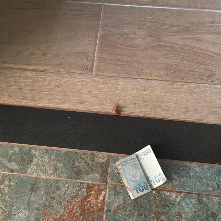 Hijyen, Güvenlik Ve Kredi Kartı İhlali: Grand Cortez'de 11.200 TL İade Talebi