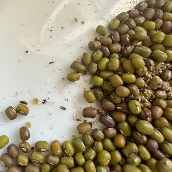 Pendik Markette Böcekli Ürünler Ve Aşırı Fiyatlandırma