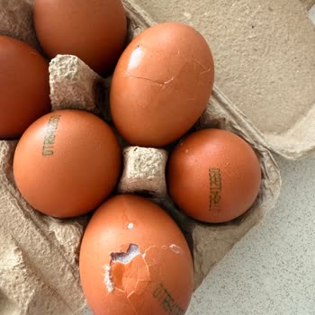 Migros Hemen’de Bozulmuş Sebzeler Ve Kırık Yumurta, Kurye Gelmedi