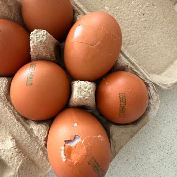 Migros Hemen’de Bozulmuş Sebzeler Ve Kırık Yumurta, Kurye Gelmedi