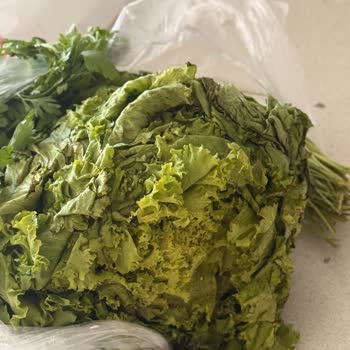 Migros Hemen’de Bozulmuş Sebzeler Ve Kırık Yumurta, Kurye Gelmedi