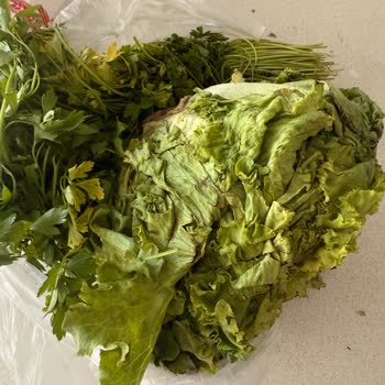 Migros Hemen’de Bozulmuş Sebzeler Ve Kırık Yumurta, Kurye Gelmedi