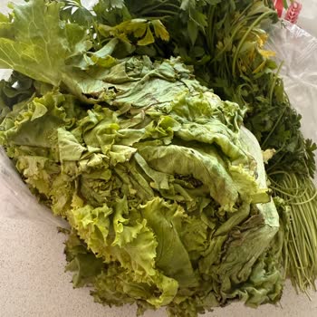 Migros Hemen’de Bozulmuş Sebzeler Ve Kırık Yumurta, Kurye Gelmedi