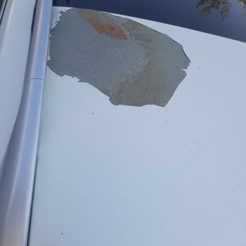 Nissan Qashqai Tavan Boyası Çözülmesi Ve Paslanma İçin Ücretsiz Düzeltme Talebi