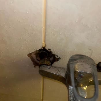 Hotel Bleu Nuit Giriş Anından İtibaren Ciddi Sorunlar Yaşadık