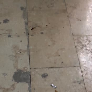 Şanlıurfa Batıkent 5. Etap'ta Temizlenmeyen Bina Ve Haksız Aidat Talebi