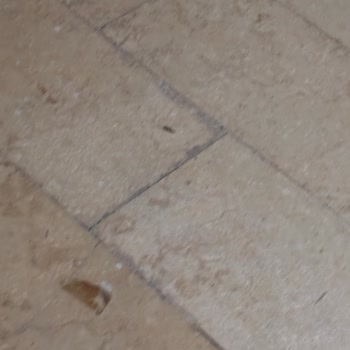 Şanlıurfa Batıkent 5. Etap'ta Temizlenmeyen Bina Ve Haksız Aidat Talebi
