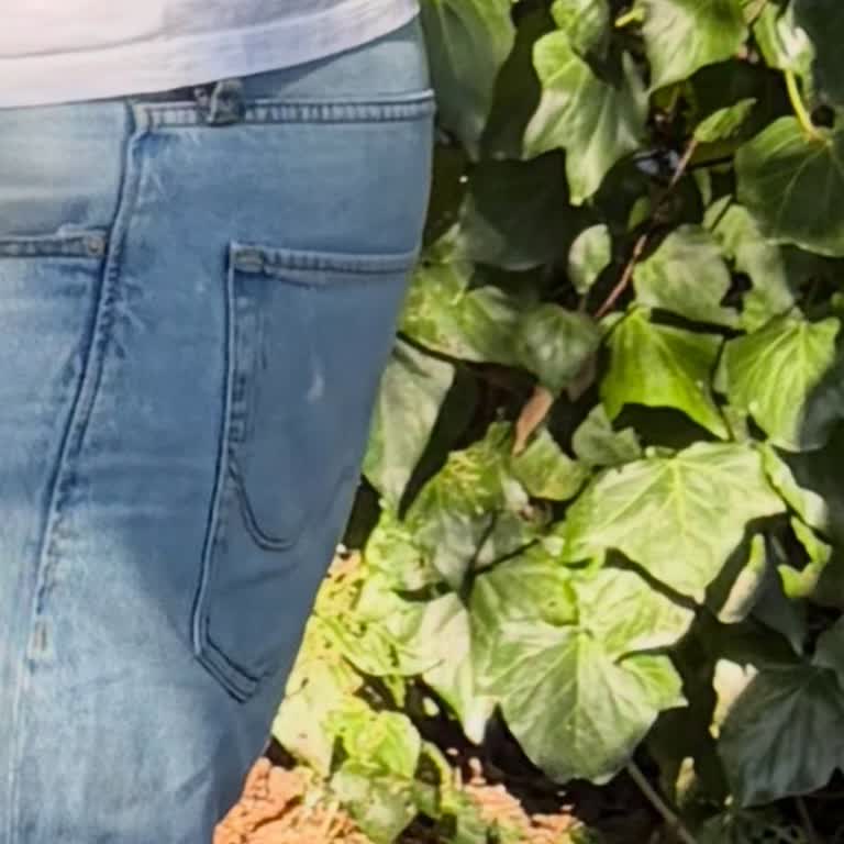 İki Yıllık Garanti İhlali: Ürün Defekti Red Edildi