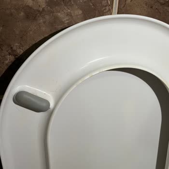 Jolly Tur'da Oda Temizliği Ve Hijyen Sorunları Nedeniyle Ücretsiz Otel Transfer Talebi