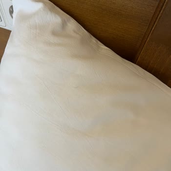 Jolly Tur'da Oda Temizliği Ve Hijyen Sorunları Nedeniyle Ücretsiz Otel Transfer Talebi