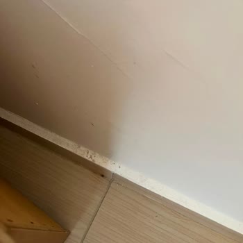 Temiz Olmayan Oda Ve Transfer Talebim Reddedildi