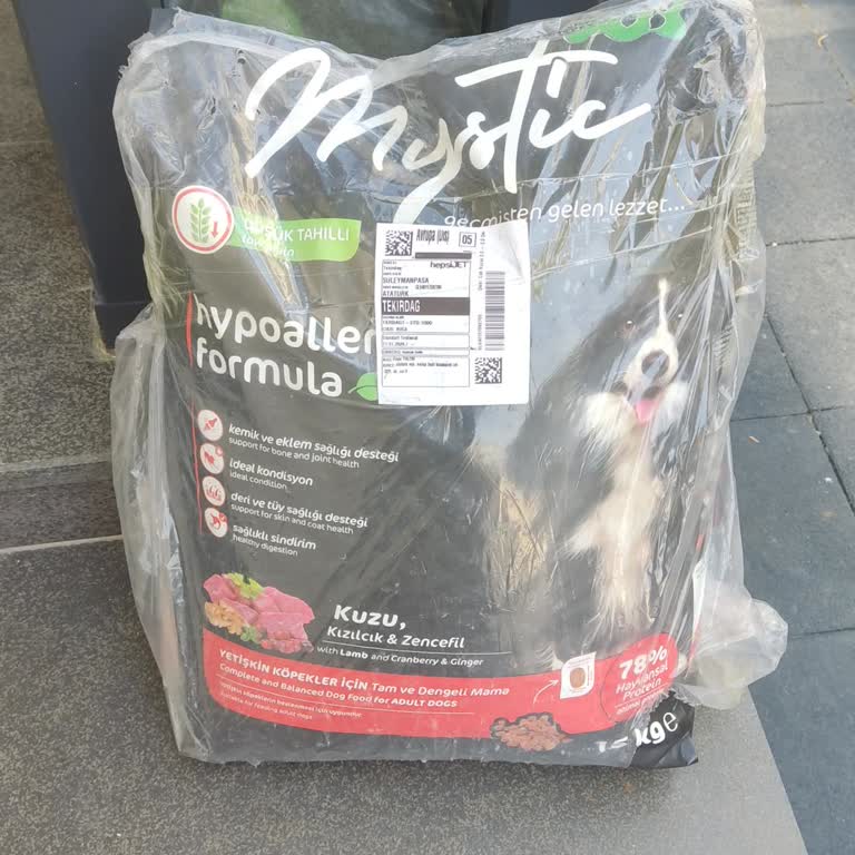 Yanlış Mama Gönderimi Ve Gecikme Nedeniyle Hastalıklı Köpeğimiz Mağdur