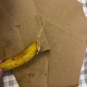 Patateslerde Garip Madde Ve Cevapsız Müşteri Hizmeti