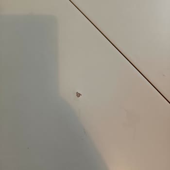 Montaj Eksikliği Ve Cevapsız Mağaza Tutumu