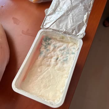 Bahçıvan Labne Peynirinde Küf Ve Gıda Güvenliği Endişesi