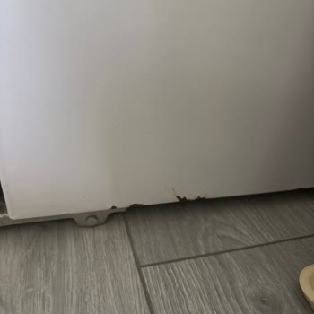 Vestel Buzdolabında Tekrarlayan Paslanma Ve Değişim Talebi