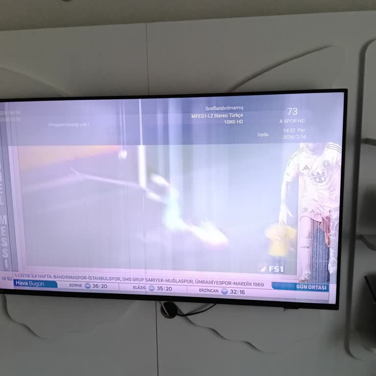 Philips Televizyon Panel Arızası İçin Ücretsiz Onarım Talebi
