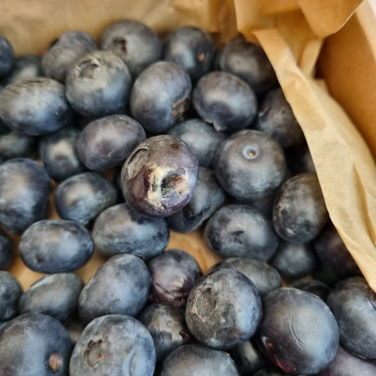 Uniqberry Paketlerde Bozulma Vardı