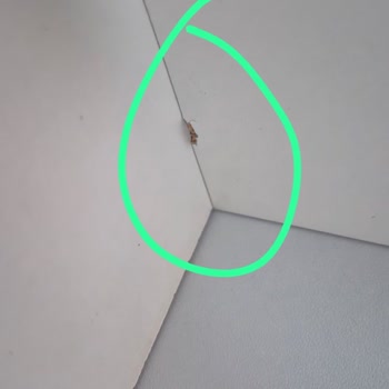 Özbay Mobilya’da Defolu Teslimatlar Ve Kalitesiz Satış Sonrası Hizmet