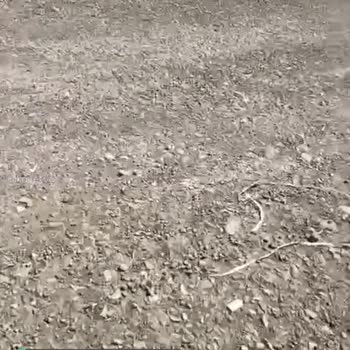 Darıca Belediyesi Yol Çalışması, Asfalt İstiyoruz!