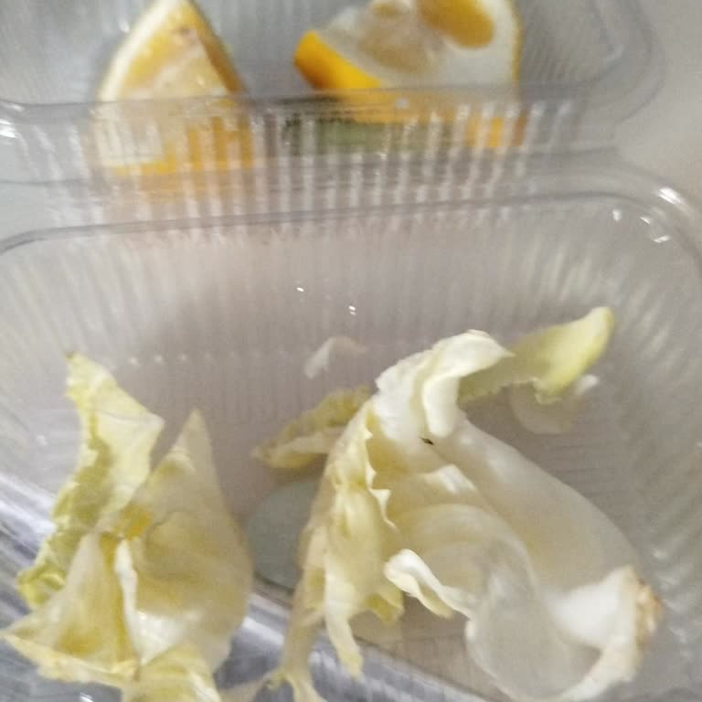 Canlı Böcek İçeren Midye Dolma Göbeği Hijyen Skandalı