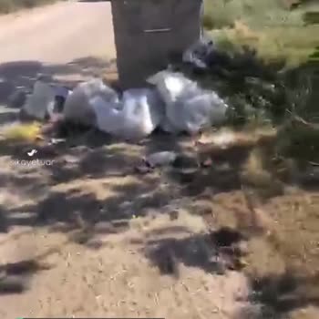Orhangazi Belediyesi Çöplerin Toplanmasını Ve Ek Çöp Kutusu İstiyoruz
