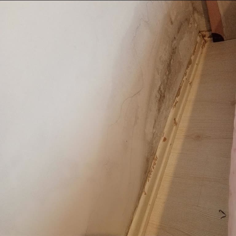 Ekspertiz Raporunda Yanlış Hasar Değerlendirmesi Komşu Daireyi Etkiliyor