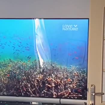 Turkcell TV Plus Sıkıntısı!