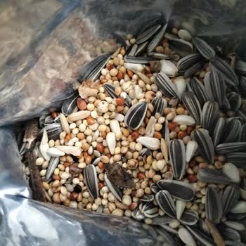 Gvn Kimya Üretim Ve Paketleme Sürecinde Yeterli Hijyen Ve Kalite Kontrolü Yapılmadığını Düşündürüyor