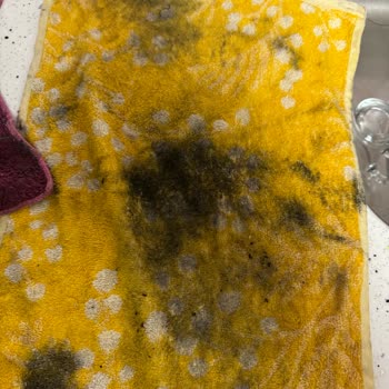 Yetkili Servis Klimayı Temizledi, Koltukları Kirletti Ve Sorumluluk Reddi