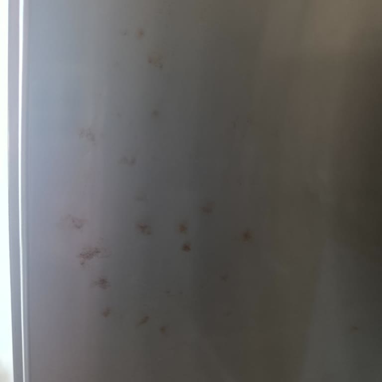 Tekrarlayan Paslanma İçin Ücretsiz Değişim Talebim Reddedildi