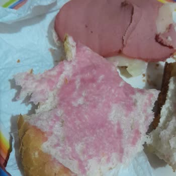 Tombik Salamın Pembe Renk Değişimi Ve Sağlık Riski