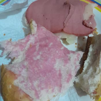 Tombik Salamın Pembe Renk Değişimi Ve Sağlık Riski