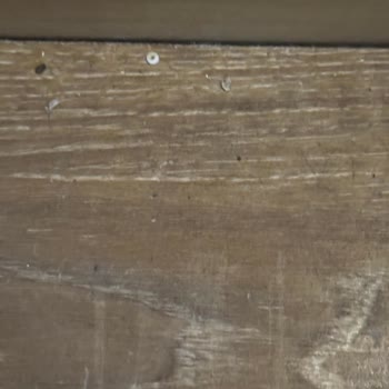 Kirli Oda Ve Hijyen Sorunları Nedeniyle Ücret İadesi Talebi