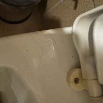Hijyen Sorunu Ve Tatilbudur Çözüm Sağlamaması Nedeniyle Maç Beach Otel’de Mağduriyet