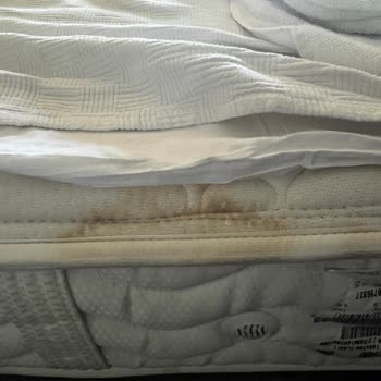 Hijyen Sorunu Ve Tatilbudur Çözüm Sağlamaması Nedeniyle Maç Beach Otel’de Mağduriyet