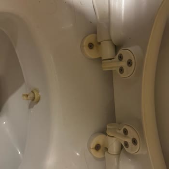 Hijyen Sorunu Ve Tatilbudur Çözüm Sağlamaması Nedeniyle Maç Beach Otel’de Mağduriyet