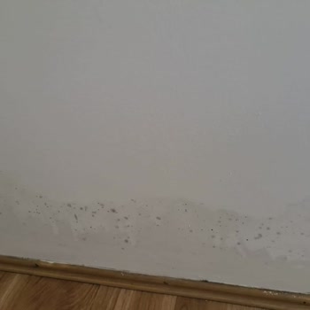 Neova Sigorta'dan Hasar Tazminatı Sürecinde Uzun Bekleyiş Ve Bilgi Eksikliği