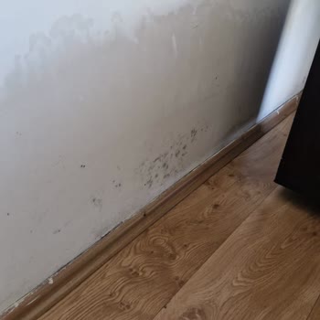 Neova Sigorta'dan Hasar Tazminatı Sürecinde Uzun Bekleyiş Ve Bilgi Eksikliği