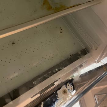 Beko Buzdolabının Üretim Kusuru Değişim Gecikmesi Gıda Kaybına Yol Açıyor