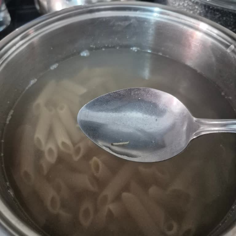 Pasta Veneta Makarnada Kurt Görülmesi Hijyen Ve Güven Sarsıntısı