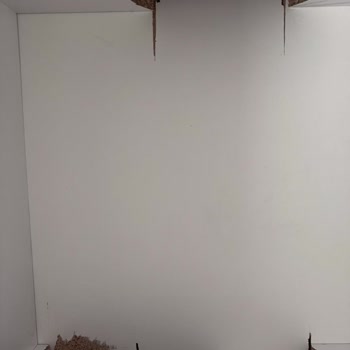 Naturaldecor Eksik Ve Hatalı İşçilik