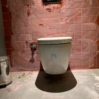 Tamamlanan WC Tamiratı İçin 30.000 TL Ödemesi Alınmadı