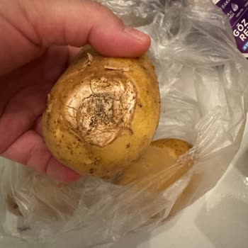 Migros Siparişimde Bozulmuş Ve Küflü Ürünler, Eksik Teslimat
