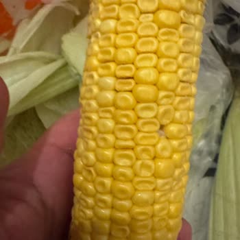 Migros Siparişimde Bozulmuş Ve Küflü Ürünler, Eksik Teslimat